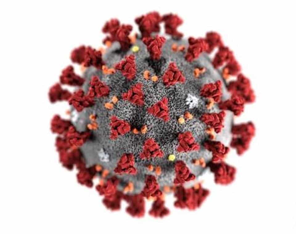 covid virus close up